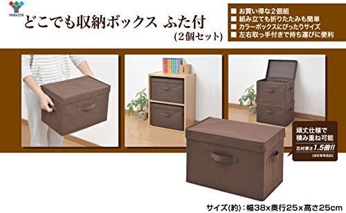 Yamazen YTCF-2PF(BR) Storage Box with Lid, Width 15.0 x Depth 9.8 x Height 9.8 inches (38 x 25 x 25 cm), Handle Included, Color Box Compatible, Finished Product, Brown, Set of 2 - color: Braun
