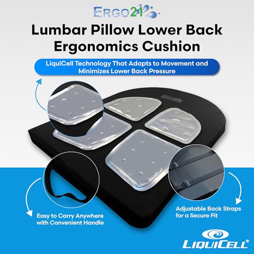 ERGO21 Lumbar Support Pillow for Office Chair, Car, Driving Seat, Auto, Lower Back Pain | Great Back Support with Liquid Filled Membranes | Small Size, (18" W x 18”x 1.5”) - size: Lumbar Small - 18" x 18" x 1.5"