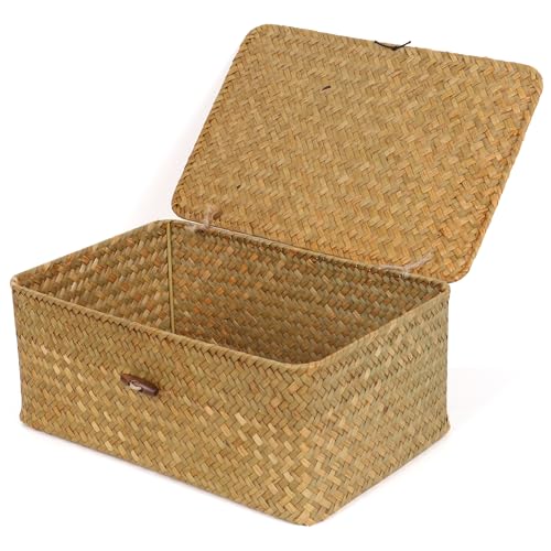 FEIALNDUO Wicker Shelf Baskets with Lid,Seagrass Storage Basket Bins Rectangular Handwoven Basket Boxes for Shelves Desktop Home Organizer (Natural, Medium) - color: Natural, size: Medium