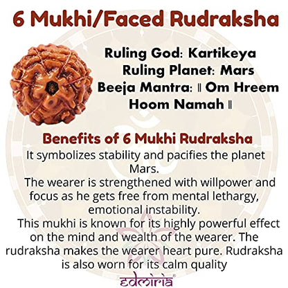 Rudraksha Bracelet for Men & Women's 2 Face, 3 Mukhi, 4 Mukhi, 5 Face, 6 Mukhi, 7 Mukhi, 8 Mukhi, 9 Mukhi, 10 Mukhi, 11 Mukhi Himalayan Rudraksha Beads Wrist Band for Yoga, Meditation, Healing - style: 6 Mukhi - Six Faced
