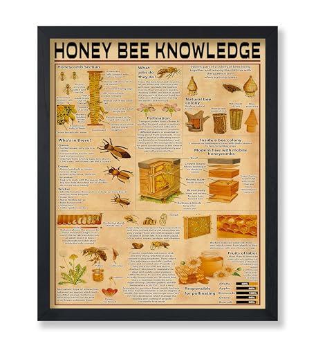 Monem Art Honey Bee Knowledge Poster - Word Art - Honey Design - Animal Graphic - Bee Keeping Print - Educational Graphic - Typography Print - Great Office or Living Room Decor - 8x10 UNFRAMED Wall Decor - color: Style-16, size: 8"L x 10"W