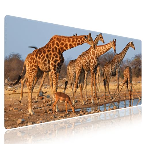 Extra Large Gaming & Office Mouse Pad (31.5" x 11.8") – A Group of South African Giraffes at a Waterhole, Premium XXL Desk Mat with Durable Stitched Edges & Smooth Surface & Anti-Slip Base - color: Design WKLXD055