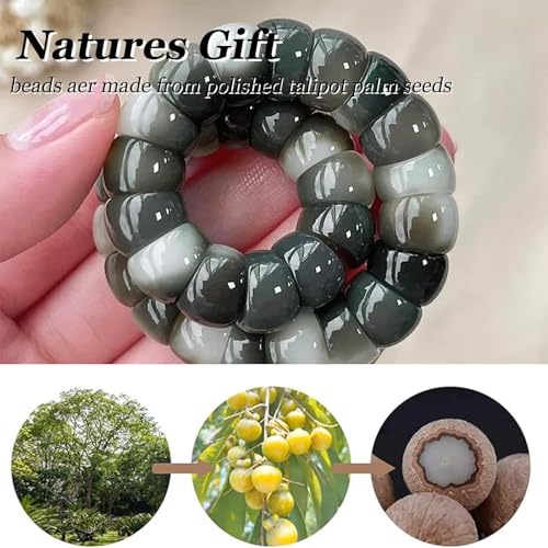 Natural Bodhi Seed Bracelets Anxiety Fidget Bracelets Anxiety Relief Items Protection Healing Stretch Bodhi Fidget Bracelet for Women Men - color: A2:Grey white