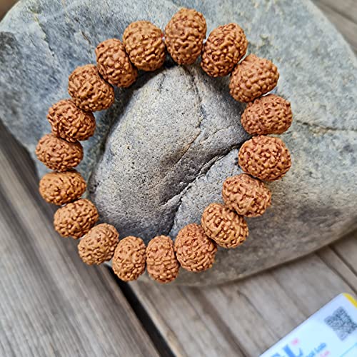 Rudraksha Bracelet for Men & Women's 2 Face, 3 Mukhi, 4 Mukhi, 5 Face, 6 Mukhi, 7 Mukhi, 8 Mukhi, 9 Mukhi, 10 Mukhi, 11 Mukhi Himalayan Rudraksha Beads Wrist Band for Yoga, Meditation, Healing - style: 8 Mukhi - Eight Faced