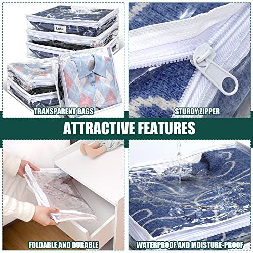 6pcs Clear Zippered Storage Bag Plastic Individual Sweater Storage Bag with Zipper Label Closet Clothing Organizer for Blanket Clothes Bed Sheet Comforter Quilt Pillow(15.7 x 13.7 x 3.9 Inch) - size: 15.7 x 13.7 x 3.9 Inch