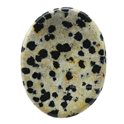 Amazing Gemstone Dalmatian Jasper Worry Stone, Healing Crystals - Piedra Crystal Fidget for Gift, Meditation, Calming, Relaxation, Stress Relief - color: Dalmatian Jasper