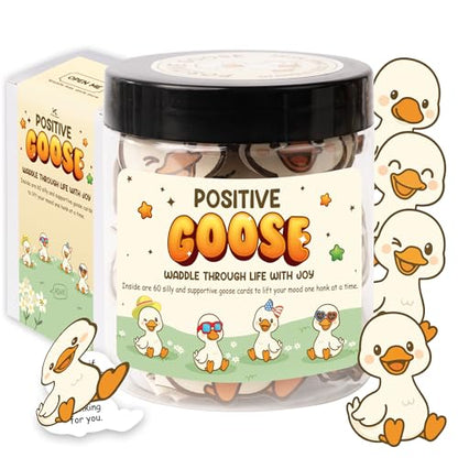 Positive Goose Jar, 60 Silly Goose Affirmation Cards, Teen Girl Gifts Treny Stuff, Birthday Gifts for Teenage Girls, Daughter, Stocking Stuffers for Teen Girls - color: Positive Goose