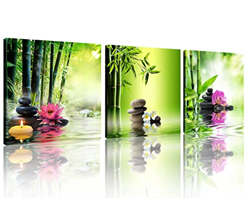 TutuBeer 3 Panels Zen Art Spa Decor Green Bamboo Decor Pink Waterlily and Frangipani Pictures Spa Pictures Zen Canvas Painting Prints Art Bamboo & Flowers Pictures for Home Decoration Ready to Hang - color: Colorful Flower Spa Stone, size: 14x14inchx3