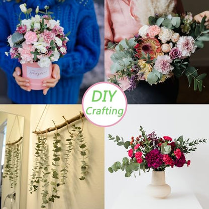 10 Pcs Dried Eucalyptus Stems 17" Real Eucalyptus for Shower Hanging 100% Made from Fresh Leaves, Wedding, Home, Farmhouse, DIY Spring Decor Bathroom Decor Home Decor - size: 10 Pcs Eucalyptus