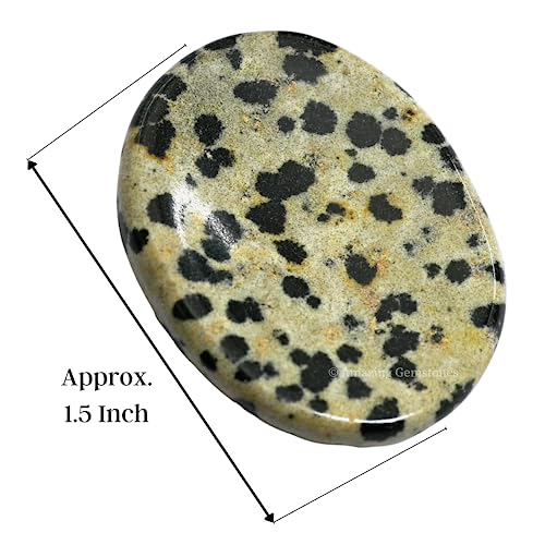 Amazing Gemstone Dalmatian Jasper Worry Stone, Healing Crystals - Piedra Crystal Fidget for Gift, Meditation, Calming, Relaxation, Stress Relief - color: Dalmatian Jasper