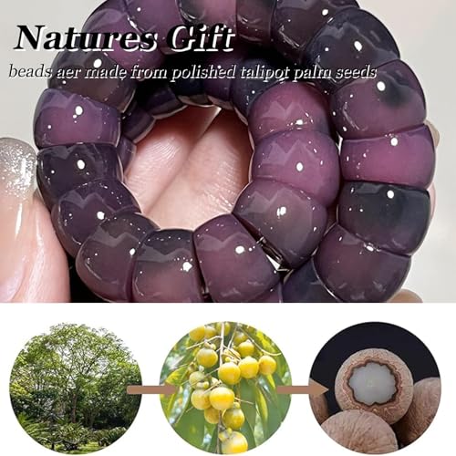 Natural Bodhi Seed Bracelets Anxiety Fidget Bracelets Anxiety Relief Items Protection Healing Stretch Bodhi Fidget Bracelet for Women Men - color: A1:Deep purple