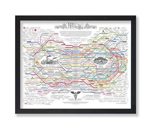 Monem Art The Healing Web Poster - Health Diagram Print - Therapy Art - Pharmacological Remedy Design - Health Graphic - Great Living Room or Office Wall Decor - 11x14 UNFRAMED Wall Decor - color: Style-18, size: 11"L x 14"W