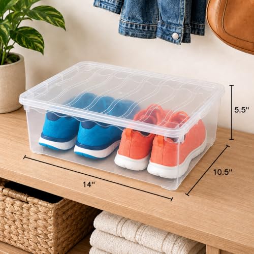 Clear Shoe Storage Boxes with Lids - Stackable Plastic Organizer Bin for Closet, Sneaker Storage, Accessories - Shatterproof, Secure-Fit, 14 x 10.5 x 5.5 in, Set of 3 - size: Set of 3
