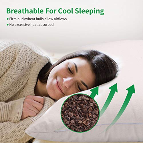 Organic Buckwheat Pillow for Sleeping, 100% Natural Premium buckwheat Hulls, Organic Cotton Cover for Cool Sleep, Neck Support for Back and Side Sleepers, Buckwheat Refill-Japanese Size (20” x14”) - style: Japanese Size (14 Inchx20 Inch)