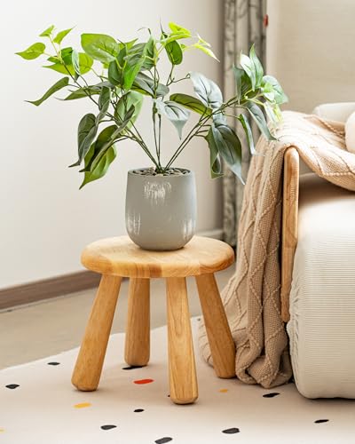 Small Solid Wood Stool, 10" Round Wooden Step Stool for Kids & Adults, Sturdy Plant Stand, Low Sitting Stool for Bathroom, Bedroom & Nursery, Easy Tool-Free Assembly, Natural (1 Pack)