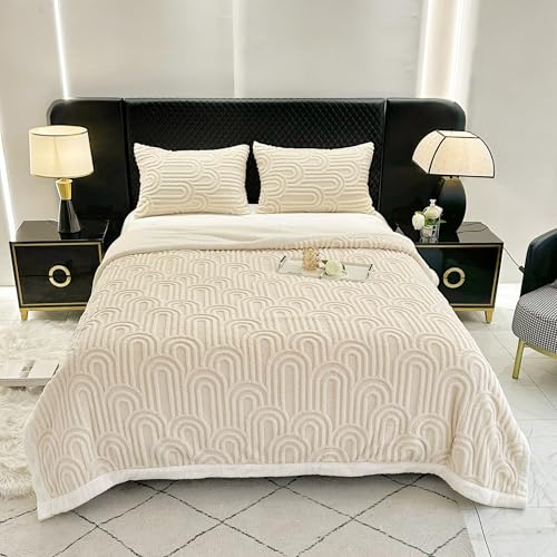 Sherpa Fleece Blanket 60 × 80 inch, Ultra Soft Twin Size Throw Blanket for All Season, Cozy Plush Arch Blankets for Bed Couch Sofa Office Camping, Off-White - color: H-off-white, size: 60''x80''