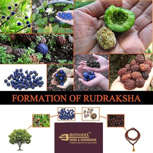 Original Rudraksha Panchmukhi Mala (Black, 9-10mm) for Wearing and Japa Mala (5 Mukhi Mala, 108 Beads Mala Rosary Garland) (Black)