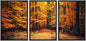 wall26 - 3 Piece Framed Canvas Wall Art - Pathway in The Autumn Park - Modern Home Art Stretched and Framed Canvas Ready to Hang - 16"x24"x3 Black - color: Artwork - 06, size: 16" x 24" x 3 Panels BLACK