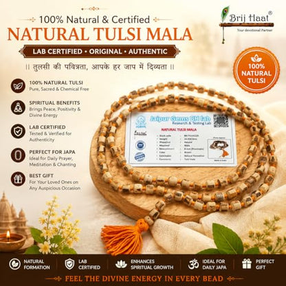 BRIJ HAAT Holy Basil Tulsi Wood Mala, 108+1 Beads, Hindu Japa Prayer Necklace for Meditation