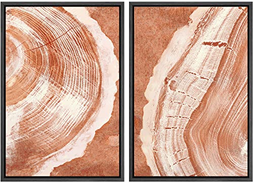 SIGNWIN Framed Canvas Print Wall Art Set Orange Closeup Wood Tree Ring Details Nature Wilderness Illustrations Modern Art Rustic Colorful Ultra for Living Room, Bedroom, Office - 16"x24"x2 Black - color: A14-2202-yuk05, size: 16"x24"x2 Panels Black