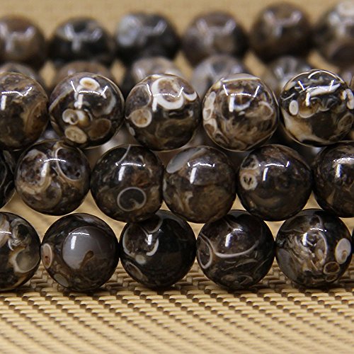 Amandastone Natural Gemstone 8mm Round Beads Stretch Bracelet 7 Inch - color: Cowry Fossil