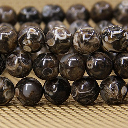 Amandastone Natural Gemstone 8mm Round Beads Stretch Bracelet 7 Inch - color: Cowry Fossil