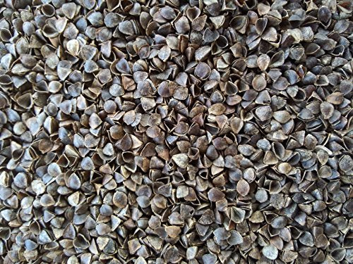 NutriBuck® | Meditation | Yoga | Cushion | (Zabuton Mat) | Filled with Buckwheat Hulls | (Dark Green)