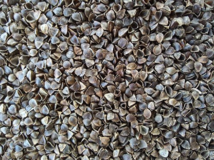 NutriBuck® | Meditation | Yoga | Cushion | (Zabuton Mat) | Filled with Buckwheat Hulls | (Dark Green)