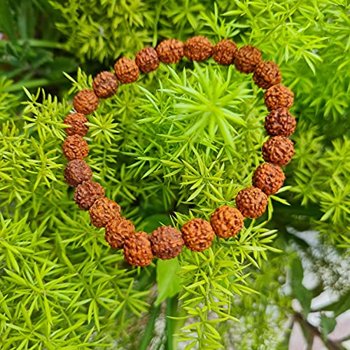 Rudraksha Bracelet for Men & Women's 2 Face, 3 Mukhi, 4 Mukhi, 5 Face, 6 Mukhi, 7 Mukhi, 8 Mukhi, 9 Mukhi, 10 Mukhi, 11 Mukhi Himalayan Rudraksha Beads Wrist Band for Yoga, Meditation, Healing - style: 5 Mukhi - Five Faced