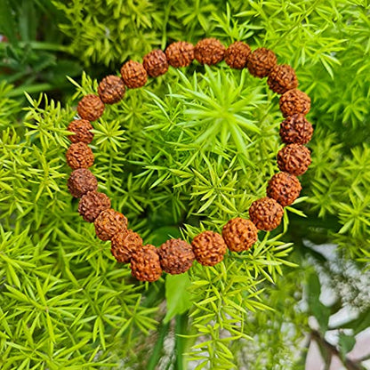 Rudraksha Bracelet for Men & Women's 2 Face, 3 Mukhi, 4 Mukhi, 5 Face, 6 Mukhi, 7 Mukhi, 8 Mukhi, 9 Mukhi, 10 Mukhi, 11 Mukhi Himalayan Rudraksha Beads Wrist Band for Yoga, Meditation, Healing - style: 5 Mukhi - Five Faced