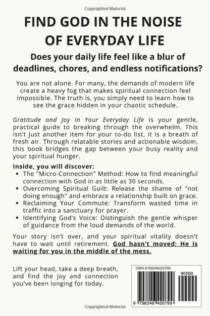 GRATITUDE AND JOY IN YOUR DAILY LIFE: Small steps to notice God in a busy Life when you feel far away