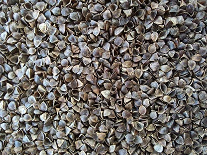 NutriBuck® Buckwheat ZAFU Meditation Cushion Filled with Buckwheat Hulls (Orange)