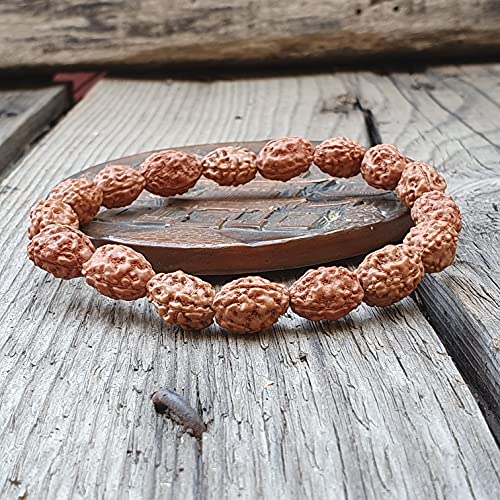 Rudraksha Bracelet for Men & Women's 2 Face, 3 Mukhi, 4 Mukhi, 5 Face, 6 Mukhi, 7 Mukhi, 8 Mukhi, 9 Mukhi, 10 Mukhi, 11 Mukhi Himalayan Rudraksha Beads Wrist Band for Yoga, Meditation, Healing - style: 3 Mukhi - Three Faced