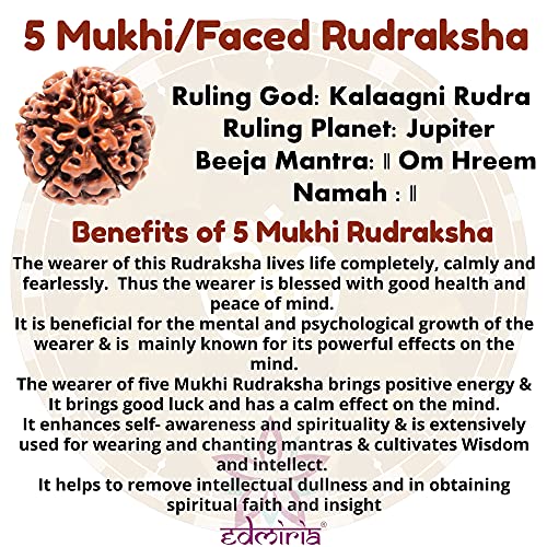 Rudraksha Bracelet for Men & Women's 2 Face, 3 Mukhi, 4 Mukhi, 5 Face, 6 Mukhi, 7 Mukhi, 8 Mukhi, 9 Mukhi, 10 Mukhi, 11 Mukhi Himalayan Rudraksha Beads Wrist Band for Yoga, Meditation, Healing - style: 5 Mukhi - Five Faced