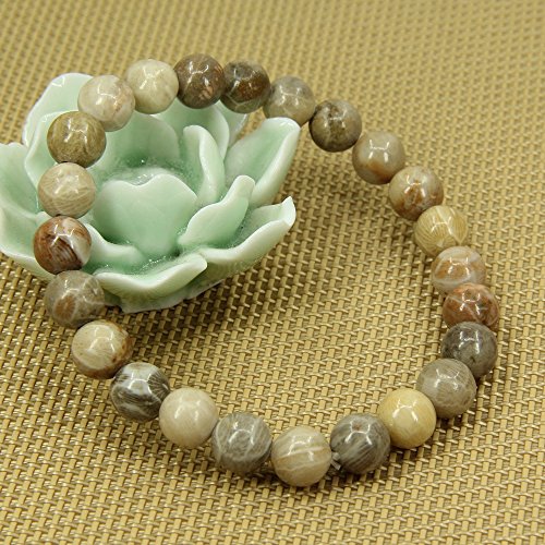 Amandastone Natural Gemstone 8mm Round Beads Stretch Bracelet 7 Inch - color: Coral Fossil