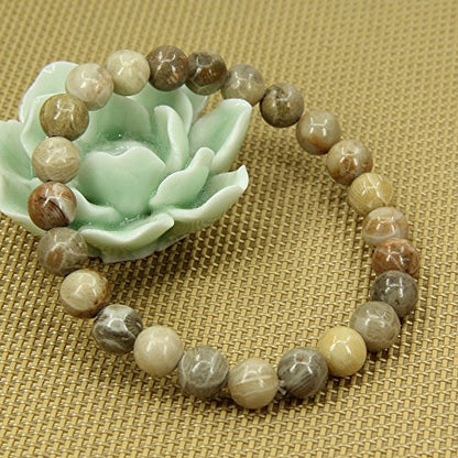 Amandastone Natural Gemstone 8mm Round Beads Stretch Bracelet 7 Inch - color: Coral Fossil