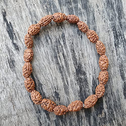 Rudraksha Bracelet for Men & Women's 2 Face, 3 Mukhi, 4 Mukhi, 5 Face, 6 Mukhi, 7 Mukhi, 8 Mukhi, 9 Mukhi, 10 Mukhi, 11 Mukhi Himalayan Rudraksha Beads Wrist Band for Yoga, Meditation, Healing - style: 2 Mukhi ( Two Faced)