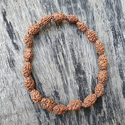 Rudraksha Bracelet for Men & Women's 2 Face, 3 Mukhi, 4 Mukhi, 5 Face, 6 Mukhi, 7 Mukhi, 8 Mukhi, 9 Mukhi, 10 Mukhi, 11 Mukhi Himalayan Rudraksha Beads Wrist Band for Yoga, Meditation, Healing - style: 2 Mukhi ( Two Faced)
