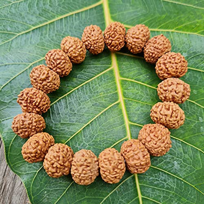 Rudraksha Bracelet for Men & Women's 2 Face, 3 Mukhi, 4 Mukhi, 5 Face, 6 Mukhi, 7 Mukhi, 8 Mukhi, 9 Mukhi, 10 Mukhi, 11 Mukhi Himalayan Rudraksha Beads Wrist Band for Yoga, Meditation, Healing - style: 8 Mukhi - Eight Faced