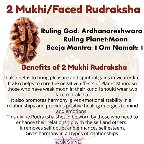 Rudraksha Bracelet for Men & Women's 2 Face, 3 Mukhi, 4 Mukhi, 5 Face, 6 Mukhi, 7 Mukhi, 8 Mukhi, 9 Mukhi, 10 Mukhi, 11 Mukhi Himalayan Rudraksha Beads Wrist Band for Yoga, Meditation, Healing - style: 2 Mukhi ( Two Faced)