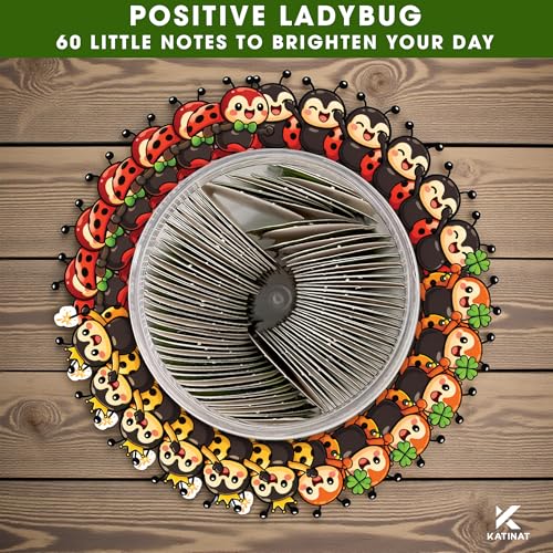 Positive Ladybug Jar with 60 Affirmation Cards, Good Luck Gifts for Women, Friends, Coworkers & Sister, Cheer Up Encouragement Cards, Mother’s Day Gift Idea - color: KAT-k- Positive ladybug