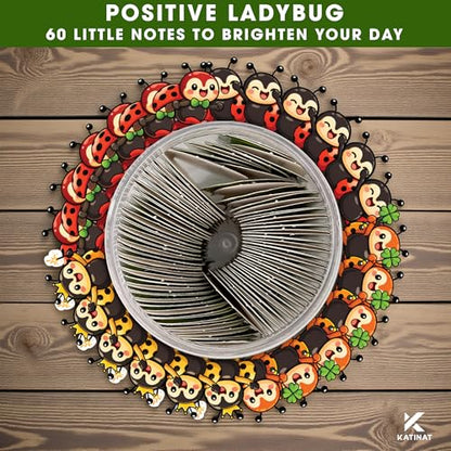 Positive Ladybug Jar with 60 Affirmation Cards, Good Luck Gifts for Women, Friends, Coworkers & Sister, Cheer Up Encouragement Cards, Mother’s Day Gift Idea - color: KAT-k- Positive ladybug