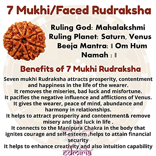 Rudraksha Bracelet for Men & Women's 2 Face, 3 Mukhi, 4 Mukhi, 5 Face, 6 Mukhi, 7 Mukhi, 8 Mukhi, 9 Mukhi, 10 Mukhi, 11 Mukhi Himalayan Rudraksha Beads Wrist Band for Yoga, Meditation, Healing - style: 7 Mukhi - Seven Faced
