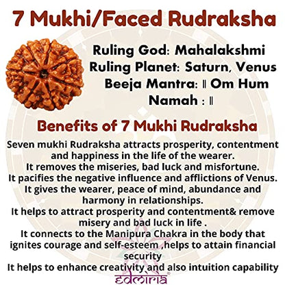 Rudraksha Bracelet for Men & Women's 2 Face, 3 Mukhi, 4 Mukhi, 5 Face, 6 Mukhi, 7 Mukhi, 8 Mukhi, 9 Mukhi, 10 Mukhi, 11 Mukhi Himalayan Rudraksha Beads Wrist Band for Yoga, Meditation, Healing - style: 7 Mukhi - Seven Faced