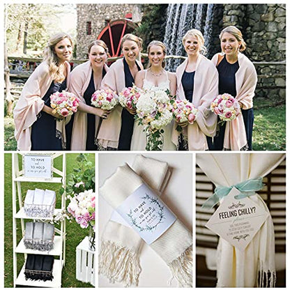 RIIQIICHY Women's Scarf Pashmina Shawls and Wraps for Evening Dress Bridesmaid Wedding Bridal Winter Warm Long Large Scarves - color: Dull Peach