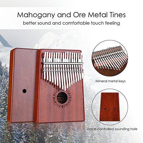GECKO Kalimba 17 Keys Thumb Piano with Waterproof Protective Box, Tune Hammer and Study Instruction, Portable Mbira Sanza Finger Piano, Meditation Sound, Gift for Beginners and Professional