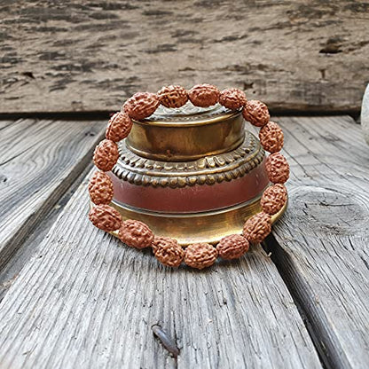 Rudraksha Bracelet for Men & Women's 2 Face, 3 Mukhi, 4 Mukhi, 5 Face, 6 Mukhi, 7 Mukhi, 8 Mukhi, 9 Mukhi, 10 Mukhi, 11 Mukhi Himalayan Rudraksha Beads Wrist Band for Yoga, Meditation, Healing - style: 3 Mukhi - Three Faced