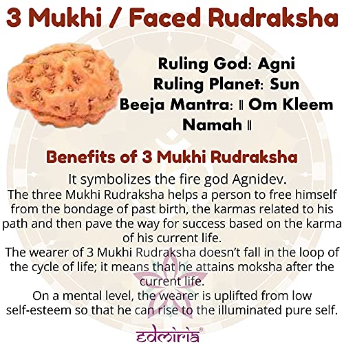 Rudraksha Bracelet for Men & Women's 2 Face, 3 Mukhi, 4 Mukhi, 5 Face, 6 Mukhi, 7 Mukhi, 8 Mukhi, 9 Mukhi, 10 Mukhi, 11 Mukhi Himalayan Rudraksha Beads Wrist Band for Yoga, Meditation, Healing - style: 3 Mukhi - Three Faced