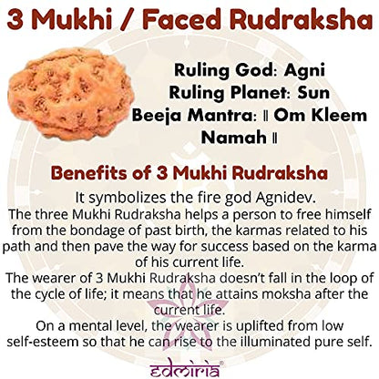 Rudraksha Bracelet for Men & Women's 2 Face, 3 Mukhi, 4 Mukhi, 5 Face, 6 Mukhi, 7 Mukhi, 8 Mukhi, 9 Mukhi, 10 Mukhi, 11 Mukhi Himalayan Rudraksha Beads Wrist Band for Yoga, Meditation, Healing - style: 3 Mukhi - Three Faced
