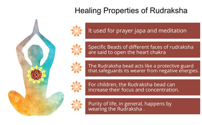 Original Rudraksha Panchmukhi Mala (Black, 9-10mm) for Wearing and Japa Mala (5 Mukhi Mala, 108 Beads Mala Rosary Garland) (Black)